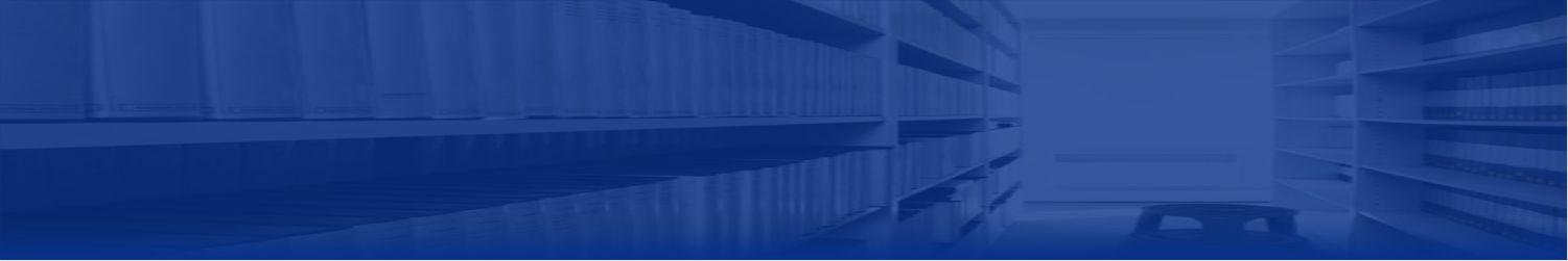 Our Services